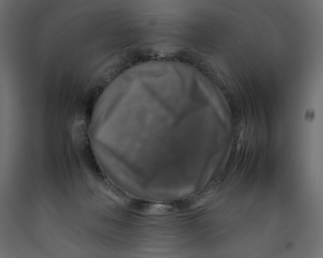 X0000092280222200710121410