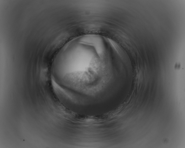 X0000092280224200710121410