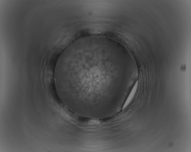 X0000092280227200710121410