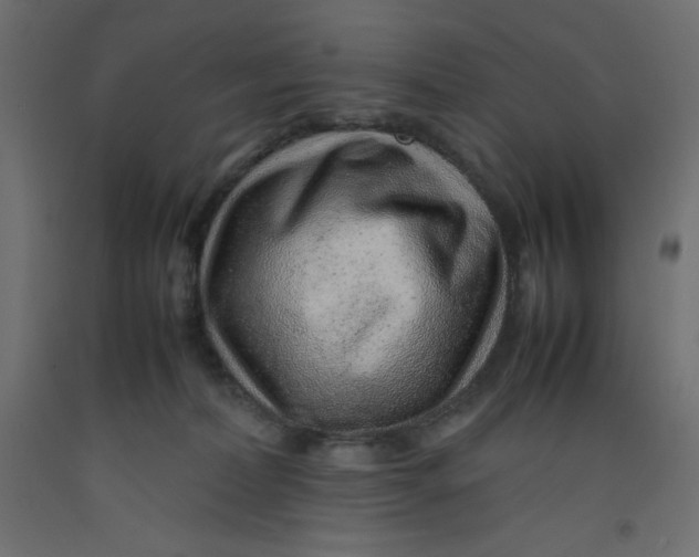 X0000092280228200710121410