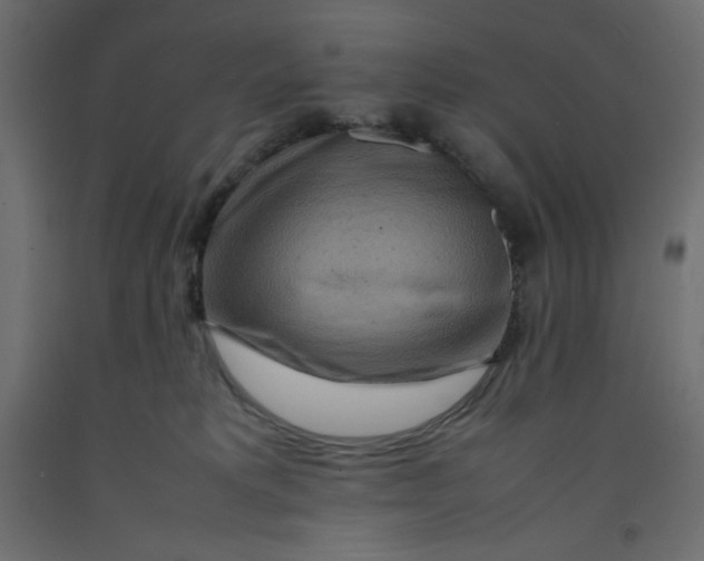 X0000092280229200710121410