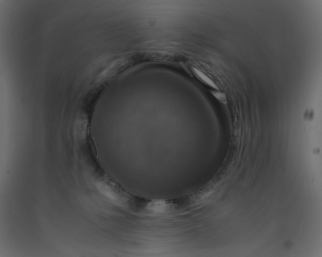 X0000092280231200710121410