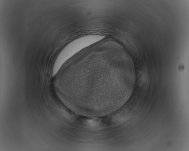 X0000092280232200710121410