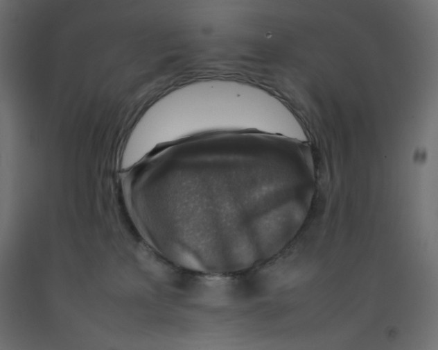 X0000092280233200710121410