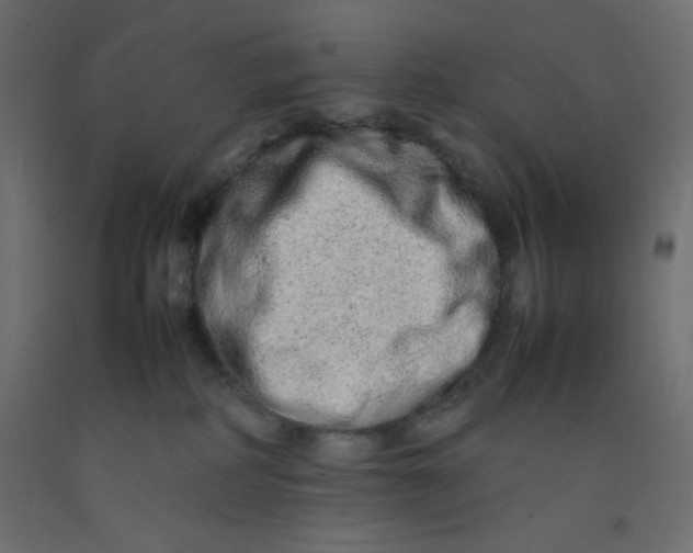 X0000092280234200710121410