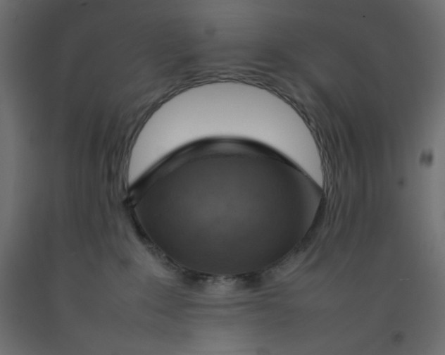 X0000092280235200710121410