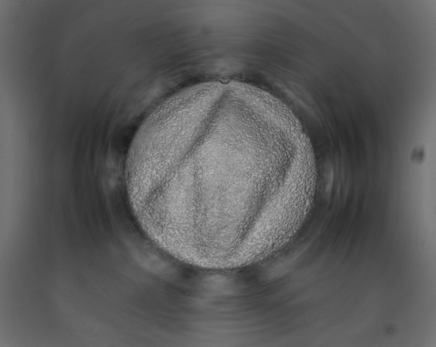 X0000092280236200710121410
