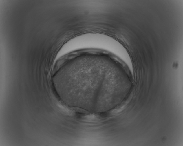 X0000092280237200710121410