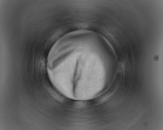 X0000092280238200710121410