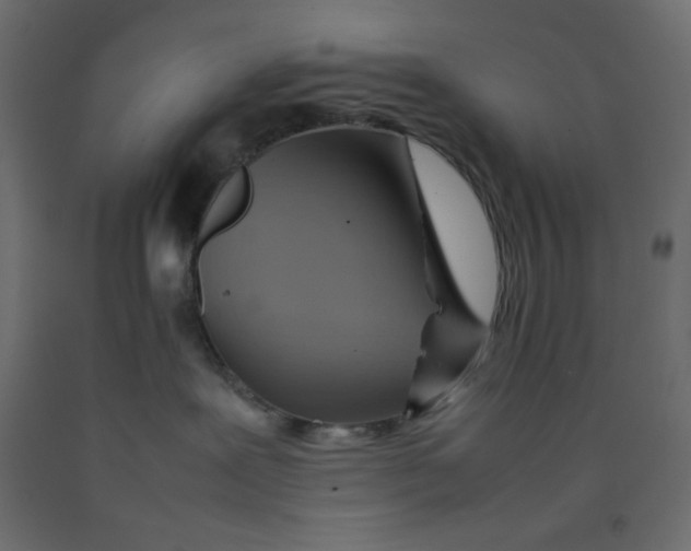X0000092280239200710121410