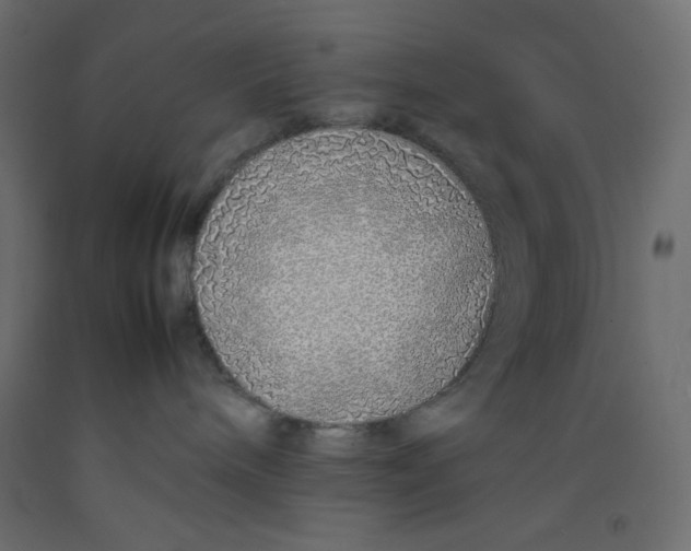 X0000092280240200710121410