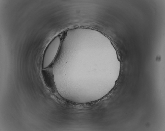 X0000092280241200710121409