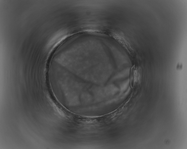 X0000092280243200710121409
