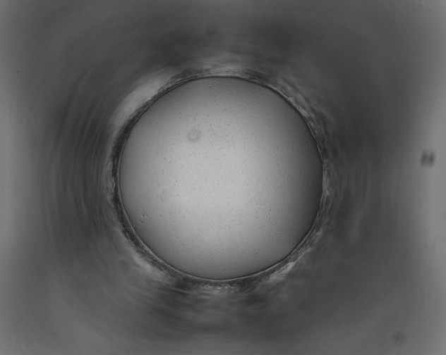 X0000092280245200710121409