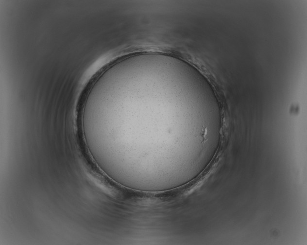 X0000092280246200710121409