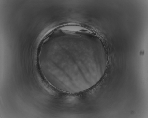 X0000092280247200710121409