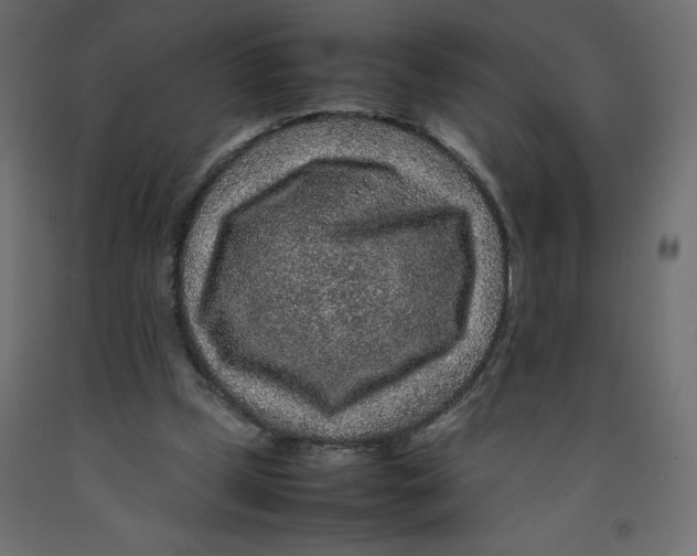 X0000092280249200710121409