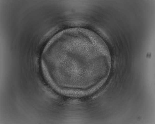 X0000092280258200710121409