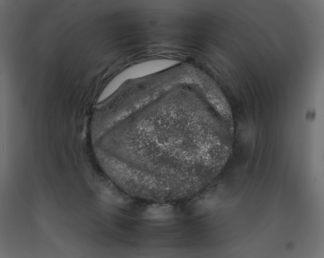 X0000092280271200710121410