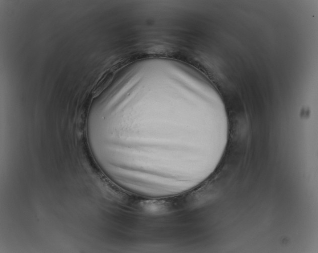 X0000092280273200710121410