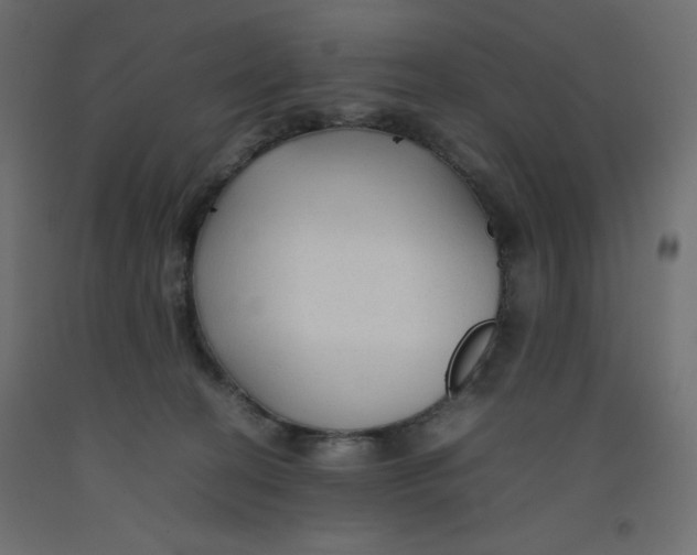 X0000092280274200710121410
