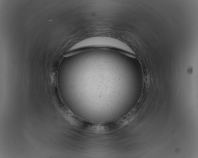 X0000092280276200710121410