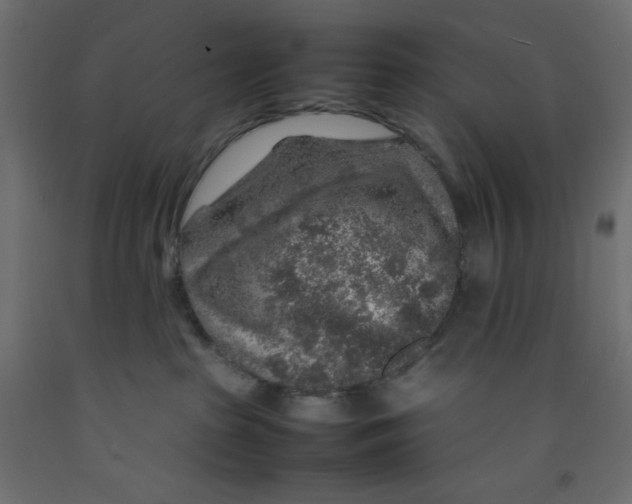 X0000092280285200710121410