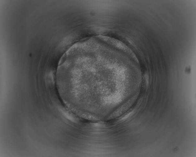 X0000092280286200710121410