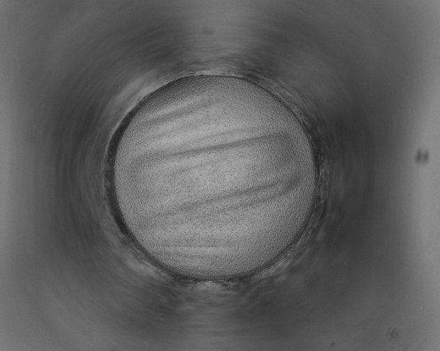 X0000092280290200710121409