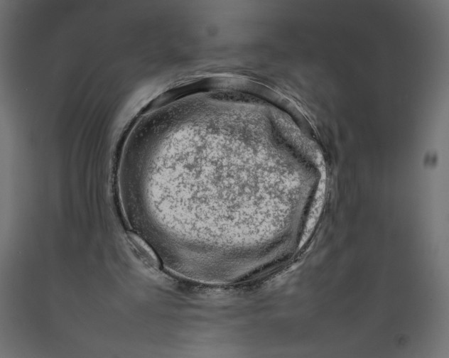 X0000092280293200710121409