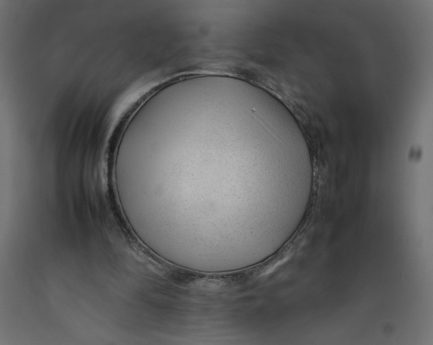 X0000092280294200710121409