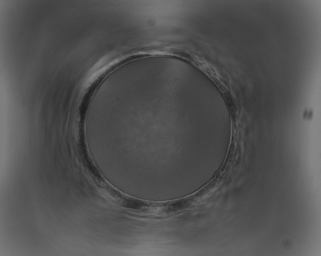 X0000092280295200710121409