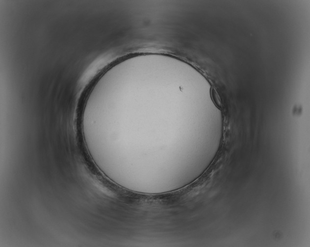 X0000092280296200710121409