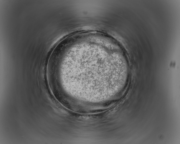 X0000092280297200710121409