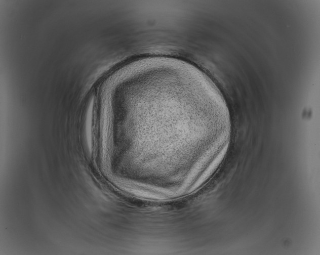 X0000092280299200710121409