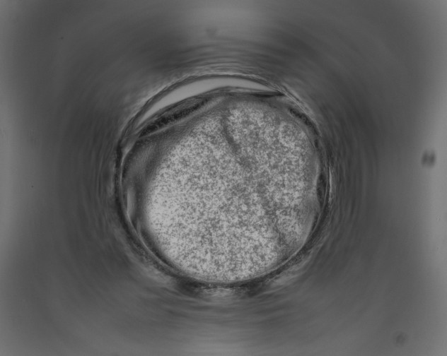 X0000092280301200710121409
