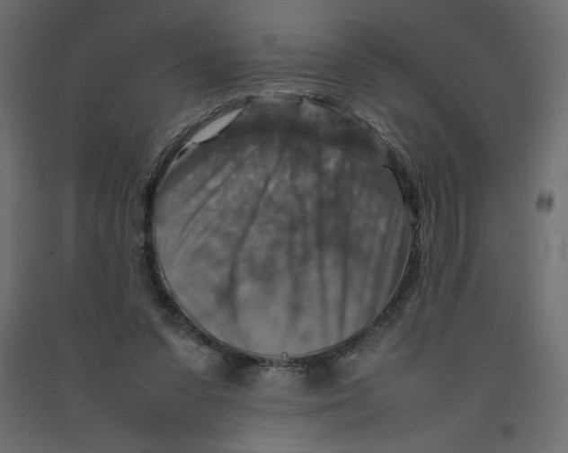 X0000092280303200710121409