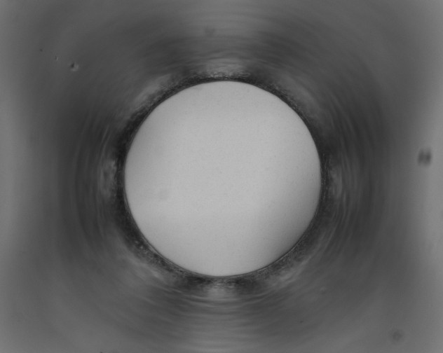 X0000092280308200710121409