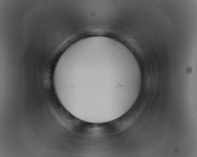 X0000092280312200710121409