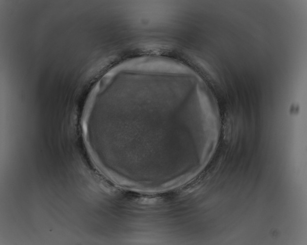 X0000092280314200710121409