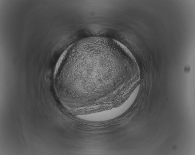 X0000092280319200710121409