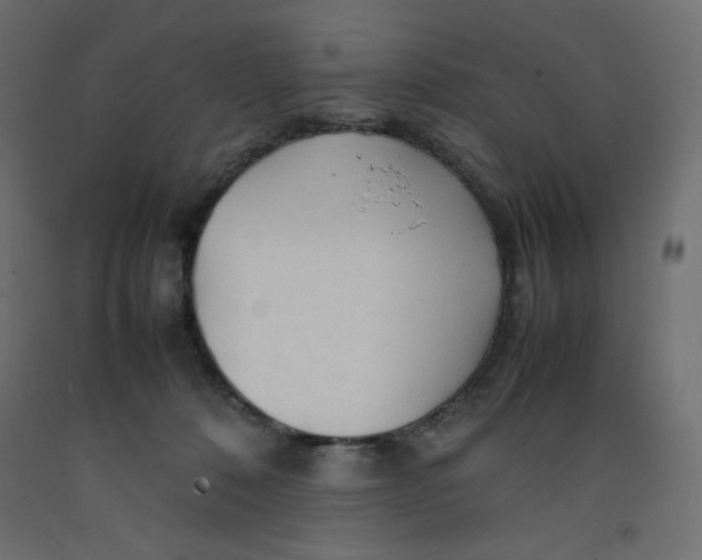 X0000092280320200710121409