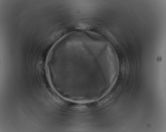 X0000092280322200710121409