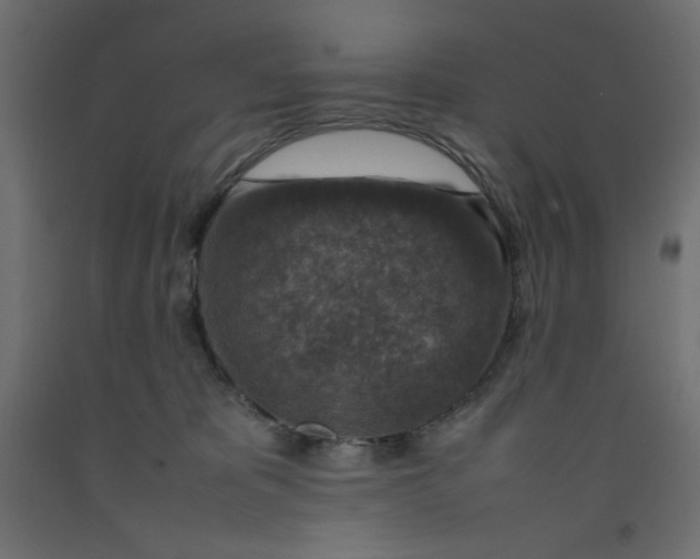 X0000092280325200710121409