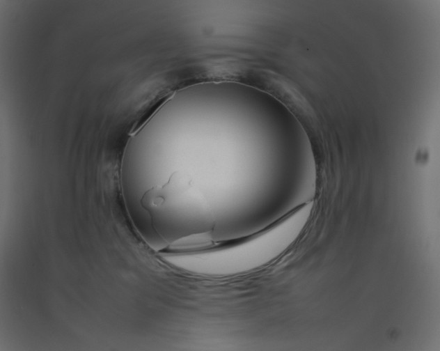 X0000092280329200710121409