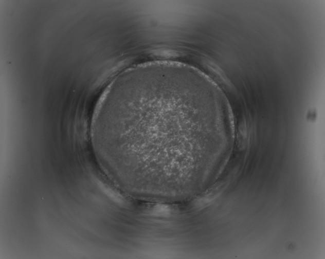 X0000092280330200710121409