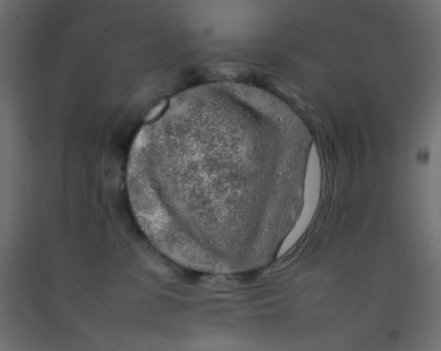 X0000092280331200710121409