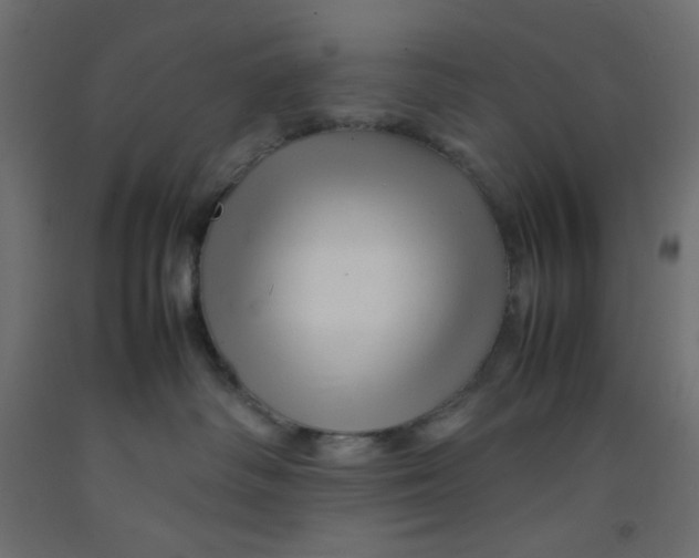 X0000092280334200710121409