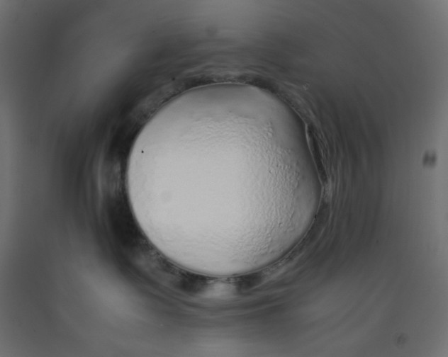 X0000092280335200710121409