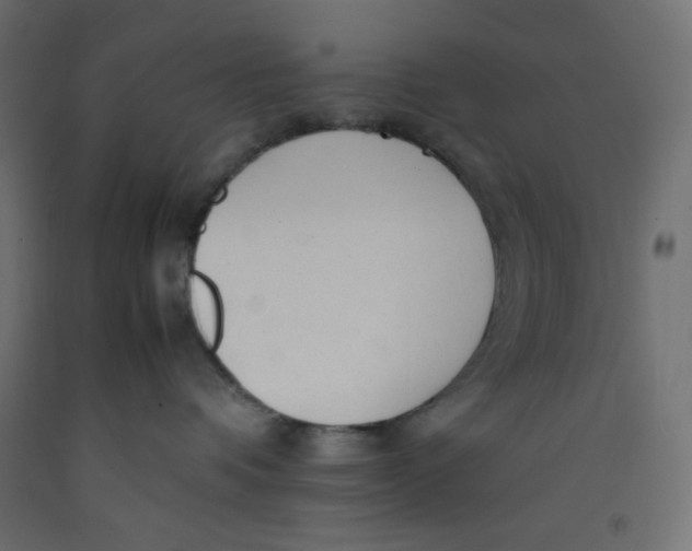 X0000092280336200710121409